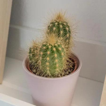 Penzion Palazzo Oddo