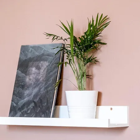 Palazzo Oddo 3* Albenga