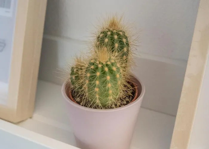 Affittacamere Palazzo Oddo